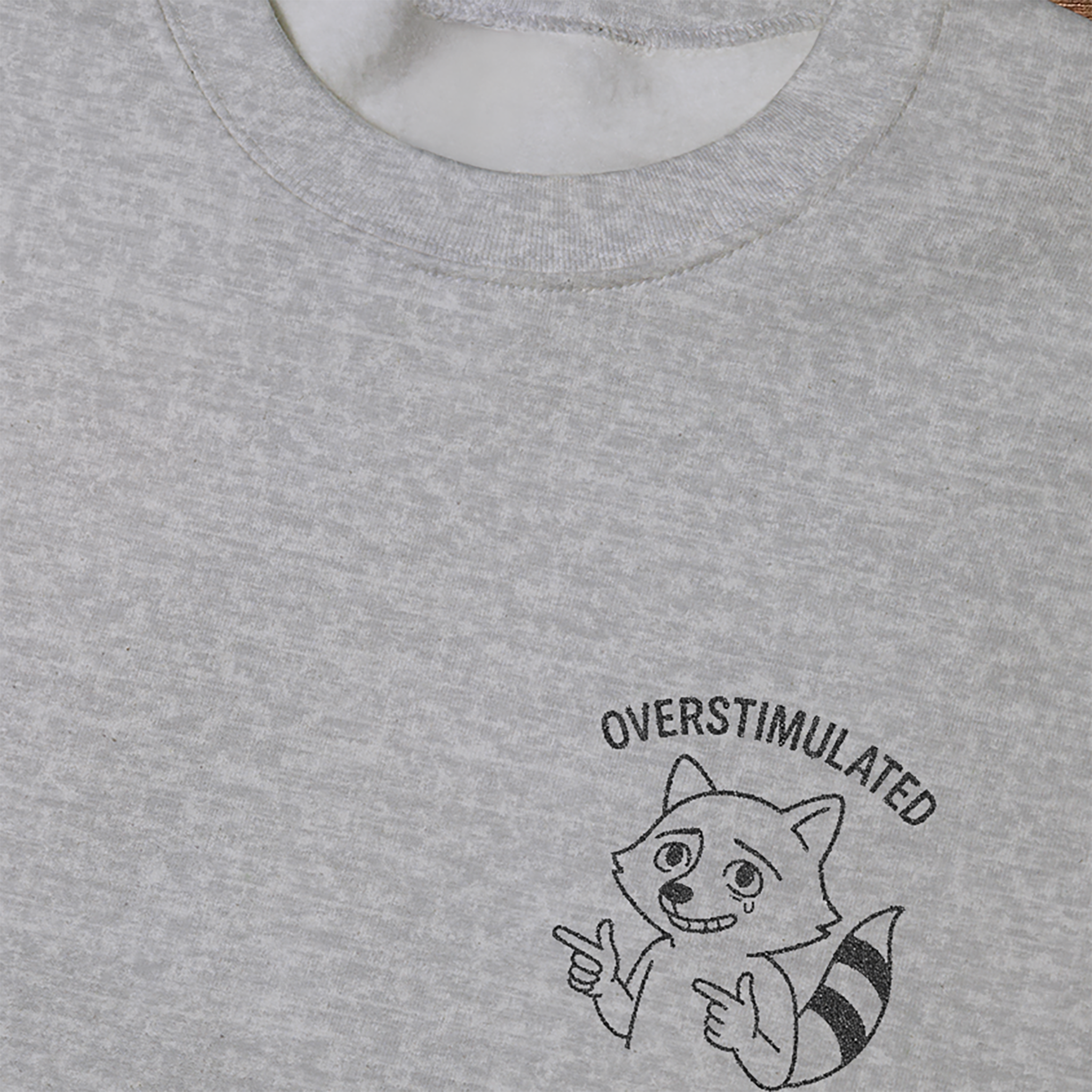 Overstimulated - Raccoon Crew
